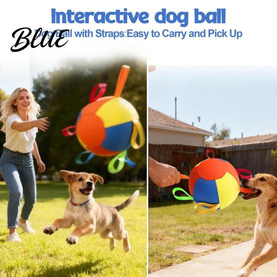 Pet Concentration Toy with Air Pump Multiple Nozzles Fast Inflation Tear-Resistant Chew-resistant Compact Size Portable Horse Training Inflatable
