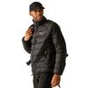 Regatta Mens Dalent Padded Jacket