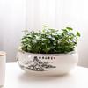 Ceramic Lotus Planter with Glaze Finish-Handcrafted Bowl for Water Lily & Bonsai Unique Home & Zen Garden Decoration Gongfu Tea