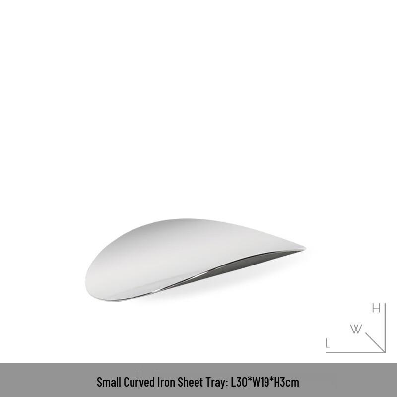 Irregular Curved Metal Storage Tray