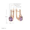 Luxury Round Purple Natural Zircon English Earrings For Women  Rose Gold Color Wedding Fine Daily Jewelry Girl'S Gift