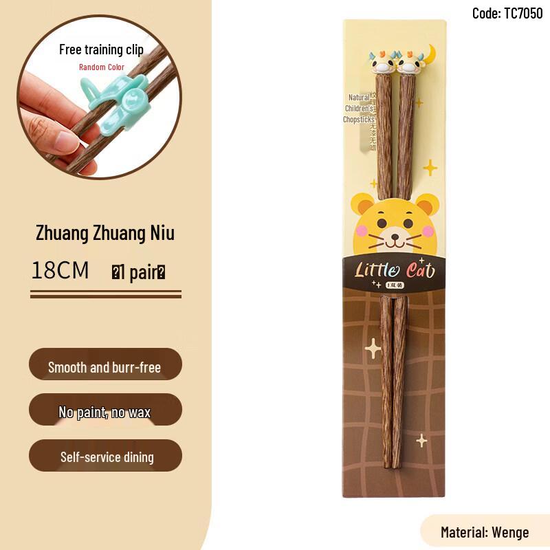 Kids Cartoon Training Chopsticks