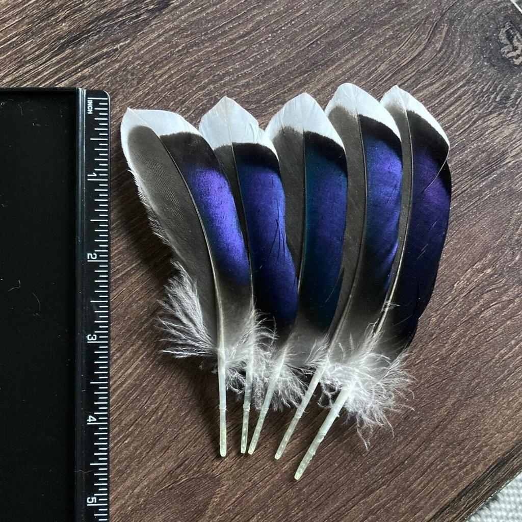 50/100PCS Wild Duck Feathers for Craft Natural Pheasant Plume Making DIY Handicraft Accessories Wedding Party Jewelry Gift Decor