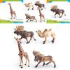 Wildlife Animal Model Set Pvc Camel Giraffe Educational Collectible For Kids Nature Learning