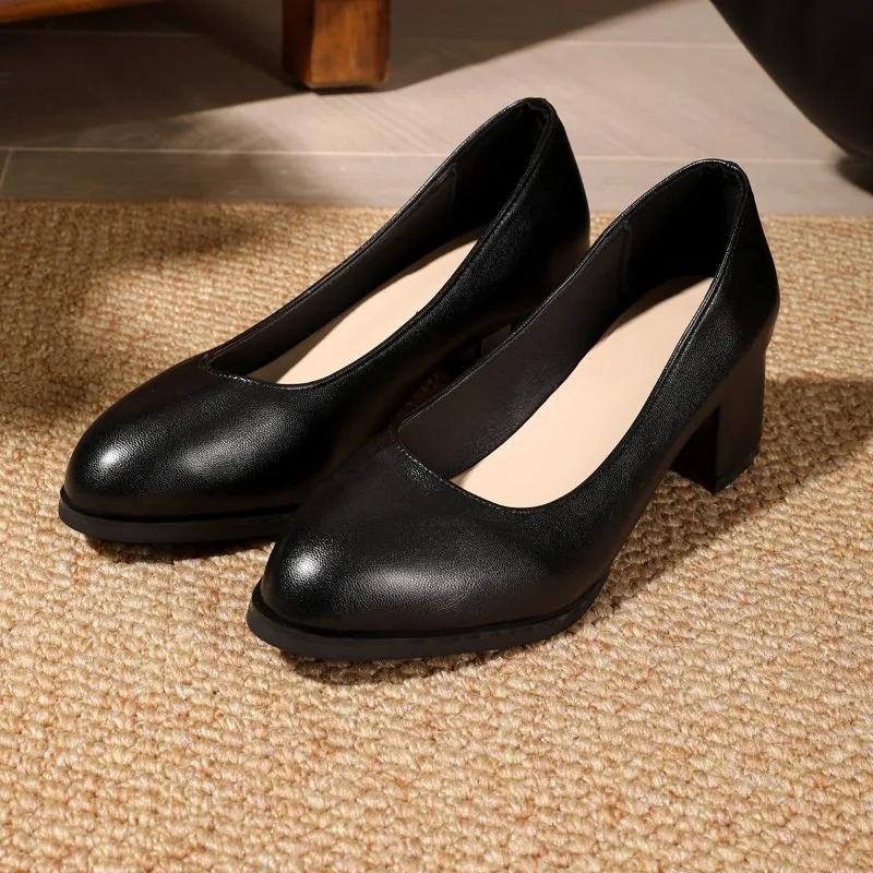 Fashion Women's Fashion Thick Heel Shoes Spring New Pointed Head Shallow Mouth Anti-slip Wear-resistant High Heels
