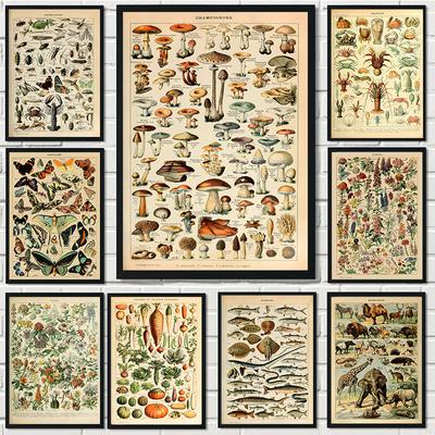 Retro Palaeobios Roślina Plakaty Zwierzę Kwiat Owad Motyl Grzyby Płótno HD Obrazy Ścienne Sztuka Płótno Do Wystroju Domu