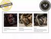 Ajuste Para Royal Enfield Continental GT Interceptor 650 Protector de Motor Compacto Negro