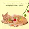 Gatos – Brinquedos para gatos