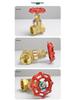 Brass Gate Valve for Water Meters with Thickened Silk Thread and PPR2 Double Hot Melt (4-6 Points)