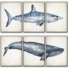 Marine Animals Canvas Paintings Great White Shark Posters and Prints Killer Whale Wall Art Picture for Home Decoration No Frame