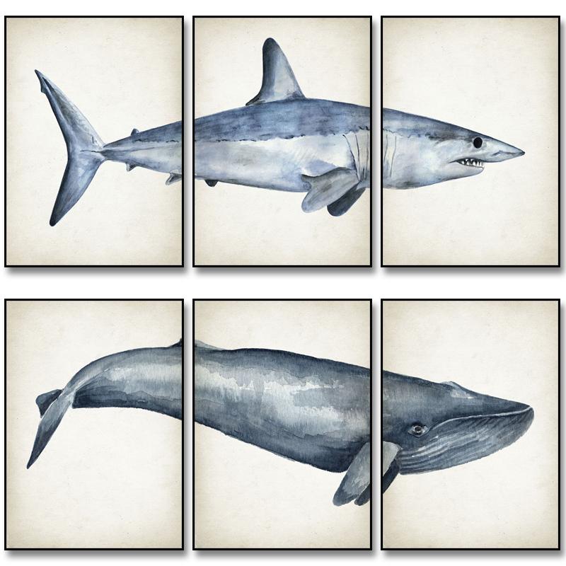 Marine Animals Canvas Paintings Great White Shark Posters and Prints Killer Whale Wall Art Picture for Home Decoration No Frame