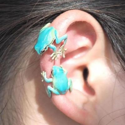 Yousheng 1 Pair Tree Frog Ear Clips Realistic Animal Shape Electroplated Polished Ani-slip Non-pierced Alloy Party Events Daily Wear Earrings