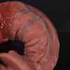 Big Dildo Toys Man 18+ Adult Toys Pussy Vagina Plug Vagins Anal Toys Full Size Realistic Silicone Penis Super Soft Simulation Dildo Female Masturbator
