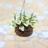 Realistic Hanging Potted Plant Miniature Planter For 1/12 Doll House Scene Setting Plant Pot Living Room Decoration
