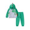 Dinosaur Boys' Fleece-Lined Long-Sleeved Hooded Sweatshirt Set Autumn and Winter Children's Casual Solid Color Pants Baby Two-Piece Set