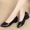 Spring and Autumn New Leather Women's Single Shoes Women's Shoes Soft Sole Non-slip Flat Sole Medium Elderly Mother Single Shoes Large Size