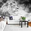 3d Black And White Lion Wall Mural Living Room Tv Sofa Bedroom Wallpaper Home Decor