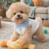 Kleding en schoenen – Vesten en shirts voor honden