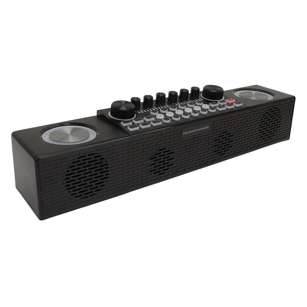 Karaoke Machine Wireless Live Sound Card All in One Speaker Home Outdoor Portable Bluetooth Speaker with Microphone