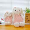 New Princess Long-Eared Rabbit Princess Cute Princess Style Plush Toy Rabbit Catching Machine Doll Girl Gift