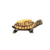 Simulierte Simulations-Schildkröte Pflanzgefäß Harz Kreatives Tier-Ornament Vase Garten-Pflanzgefäß Cartoon Sukkulenten-Pflanzgefäß Haus Büro