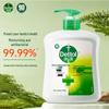 Dettol Antibacterial Hand Wash Family Pack
