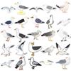 50 Seagull Cartoon Animal Stickers: Waterproof Decorations for Thermos Cups & Notebooks
