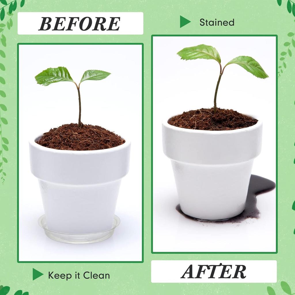 50 Pack 4/6/8/10/12 Inch Plant Saucer Clear Plastic Plant Trays Round Plant Water Tray Flower Pot Saucers Drip Plate Dish for Indoor Outdoor Garden