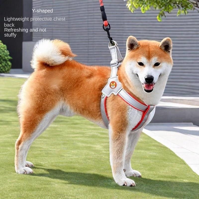 Dog Harness and Leash Set Y-Shaped Vest Soft Breathable No-Choke Pet Harness for Small Medium Dogs