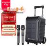 SANSUI D08 8-inch Portable Outdoor KTV Speaker CN Plug (adapter Included)