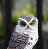 Solar-Powered LED Owl Garden Lamp - Resin Animal Yard Decor