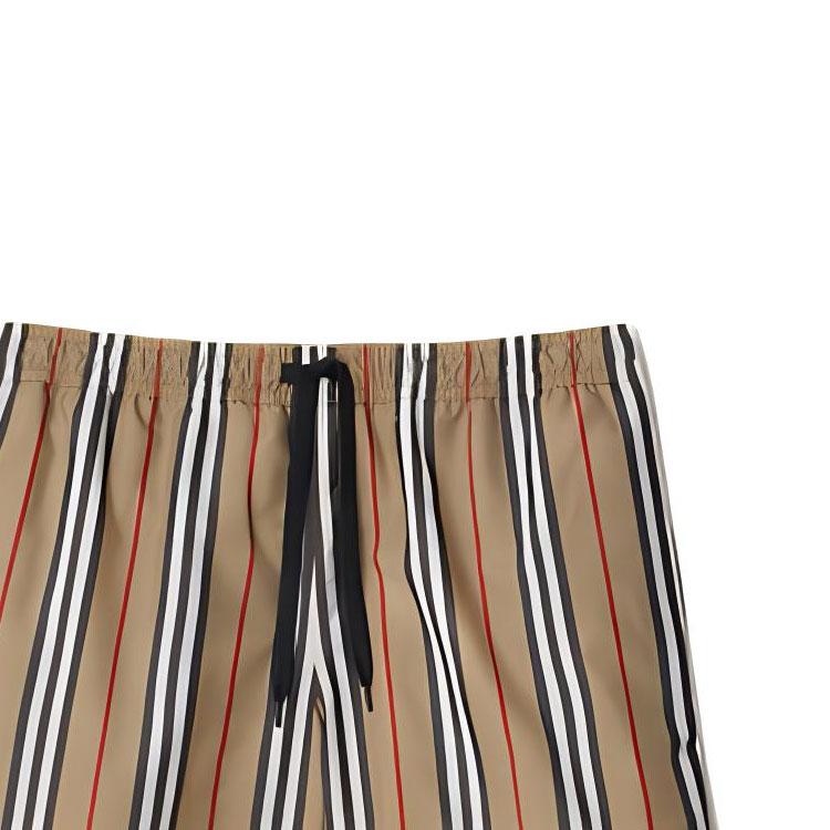 Burberry Striped Check Print Swim Shorts 80843201