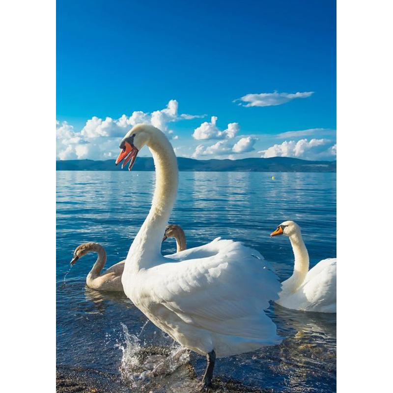 Gör-det-själv Swan 5D Diamantmålning Hel Rund Borr Diamantbroderi Djur Rhinestones Korsstygn Hantverkssats Gåva Heminredning