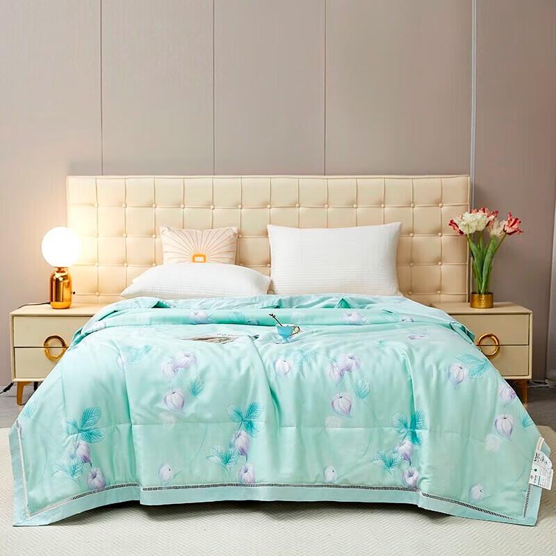 

Tangna Tencel Summer Air Conditioning Quilt