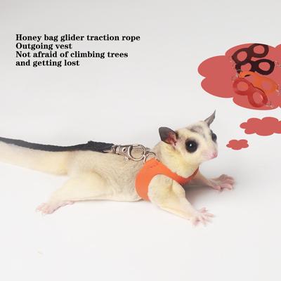 4Pcs Small Pets Chest Strap Hamster Squirrel Leash Anti Bite Traction Rope Sugar Glider Windproof Special Anti Lost Rope