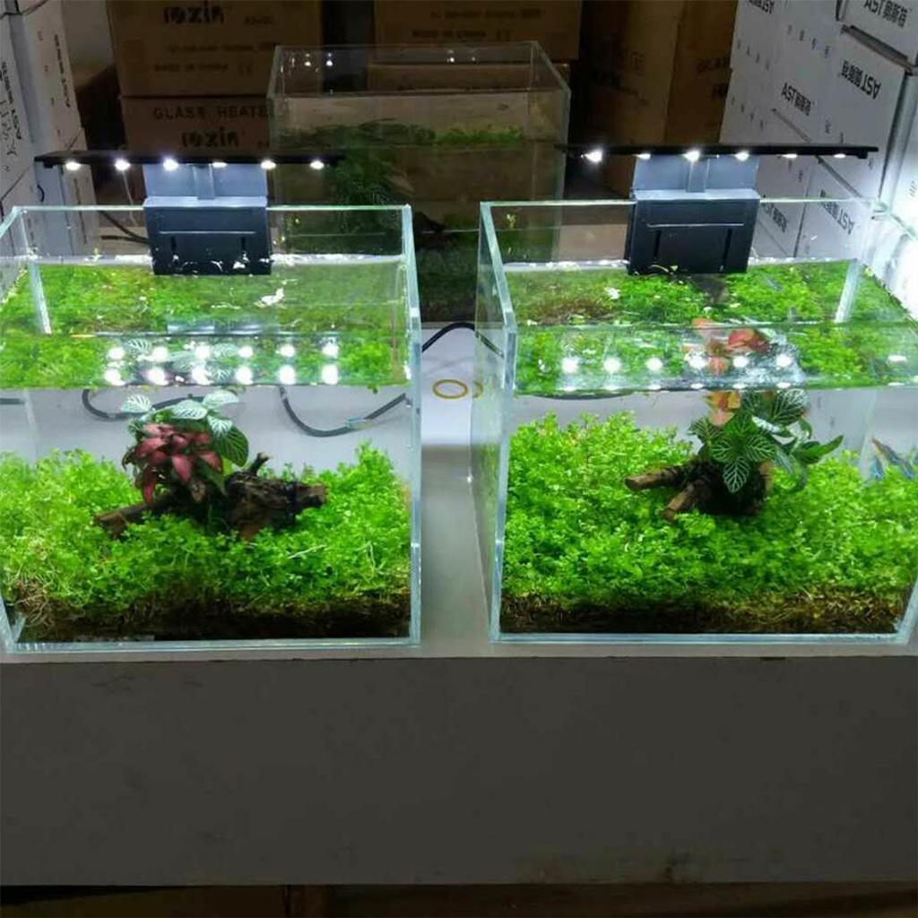 5W Ultra-tynt akvarium LED-lys Ultra Bright Clip-on belysningslampe 12 LED-er for Aquarium Fish Tank