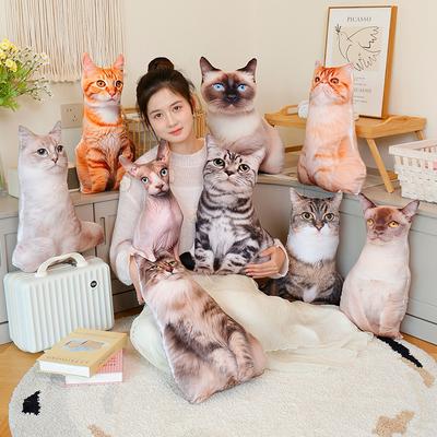 Niedlich niedlich Katze Wurfkissen Plüschtier Puppe Katze Puppe Heimkissen Kissen Mädchenpuppe