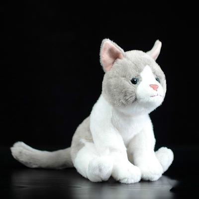 Cute Gray Plush Doll Simulation Animal Cat Plush Toy Comfort Toys