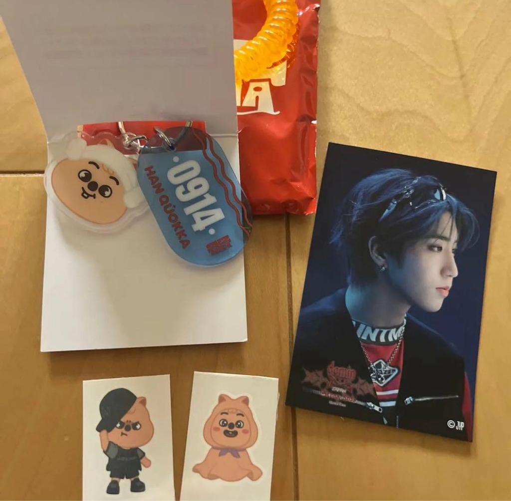 [USED] Straykids Plush Keychain Han