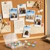 Metal Plastic Construction Decorative Push Pins Multicolor Box Packed Thumbtacks  Office Decoration