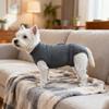 Pet Dogs Spaying Suit Recovery Vest