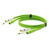 OYAIDE NEO D+ RCA Cable for Turntable Class B 2.0m High-Quality Audio Connection Cable