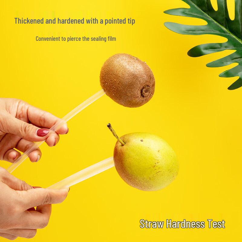 ZISIZ Food-Grade Disposable Straws