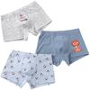 Meninos (a partir de 4 anos) – Roupa interior para meninos