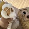 Winterhundehut,Warme Niedliche Verstellbare Fleece-Haustierkappen mit Bommel,Hals-Ohrenwärmer Welpenmütze für und Hundeparty-Dekoration