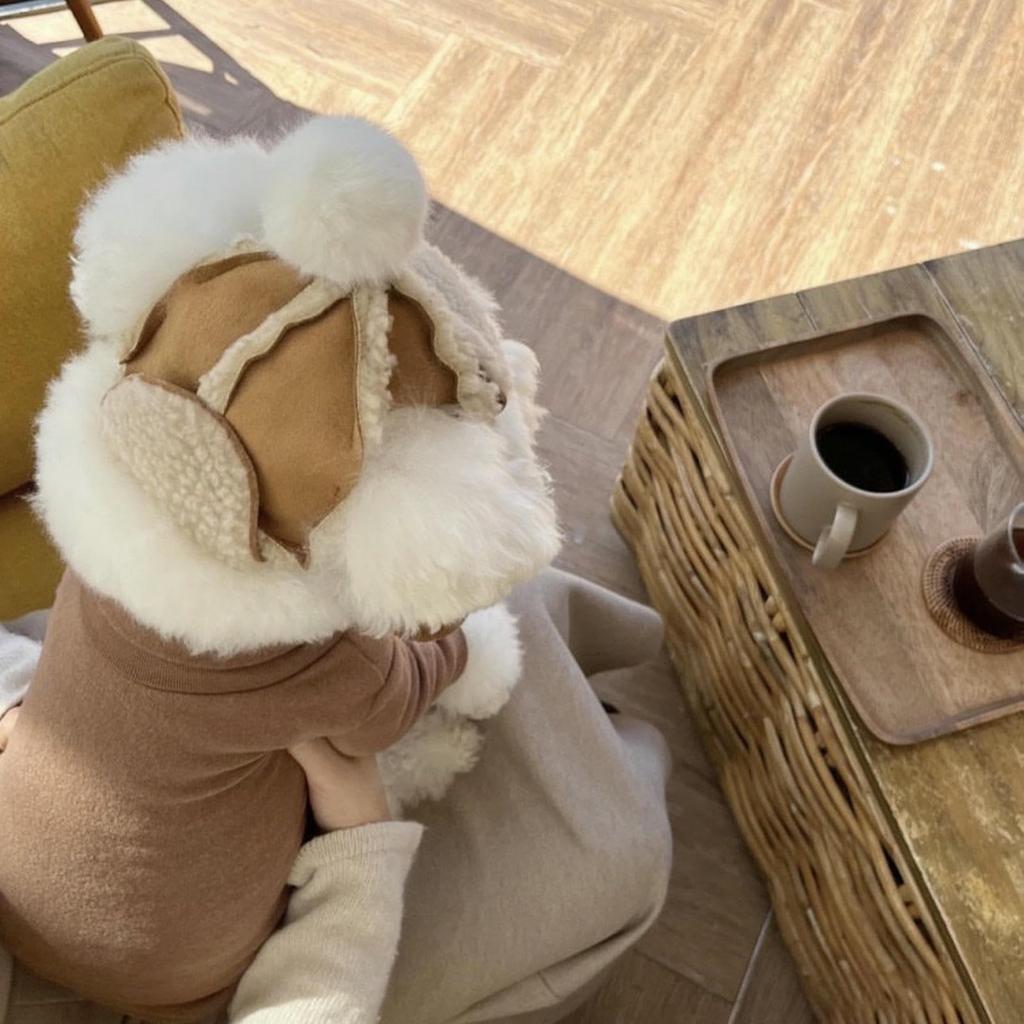 Winterhundehut,Warme Niedliche Verstellbare Fleece-Haustierkappen mit Bommel,Hals-Ohrenwärmer Welpenmütze für und Hundeparty-Dekoration