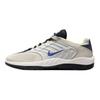 Sb Vertebrea Summit White Persian Violet Взуття для скейтбордингу FD4691-101