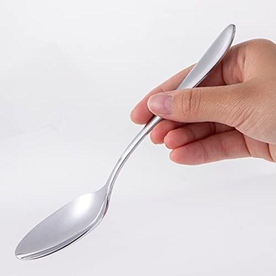 Nagao Tsubame Sanjo Dinner Spoon 5 pieces + 1 piece 18cm 18-0 Stainless Steel Made Japan