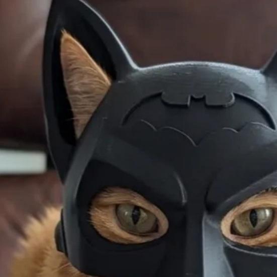 Cat Bat Mask Reusable Cat Cosplay Mask Lightweight Bat Kitty Mask for Halloween Parties Fun Photo Prop