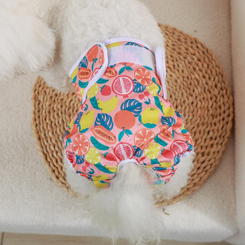 Pantaloni de fiziologie pentru cățele, Pantaloni de fiziologie pentru câini, Scutece, Scutece menstruale, Haine de primăvară și vară pentru animale de companie